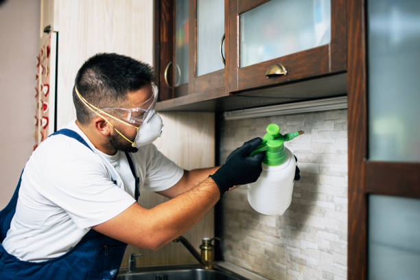 Best Residential Pest Control  in Makawao, HI