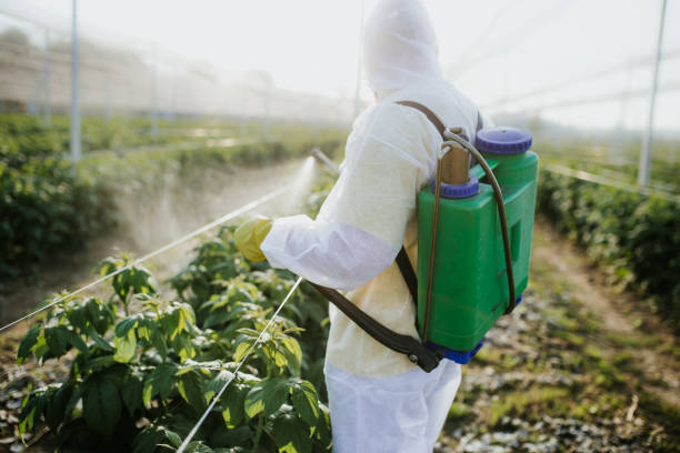 Best Pest Control Near Me in Makawao, HI